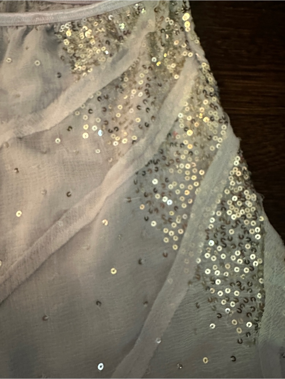 Embellished Light Blue Chiffon Skirt - Picture 4 of 6